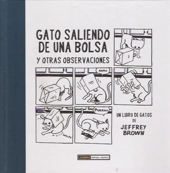 Gato saliendo de una bolsa y otras observaciones