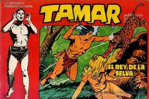 Tamar, La Historieta presenta la serie