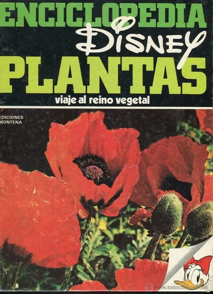 Enciclopedia Disney