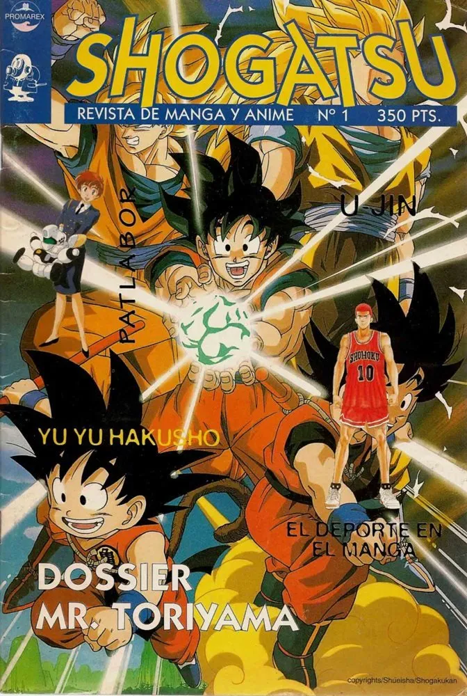 Shogatsu