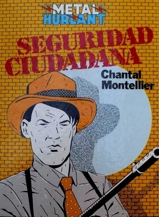 Seguridad Ciudadana