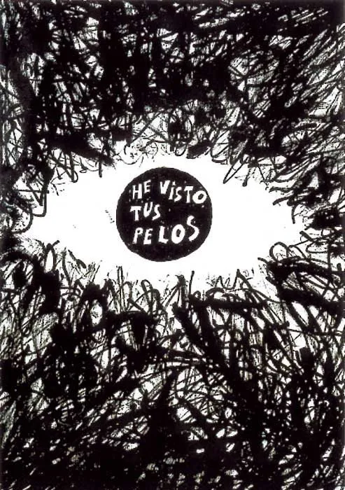 He visto tus pelos