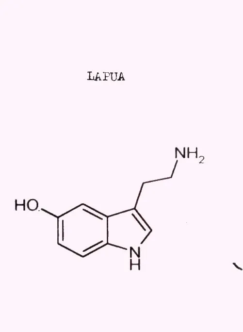 Lapua