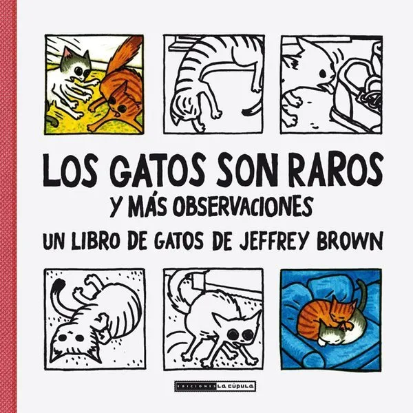 Los gatos son raros y más observaciones
