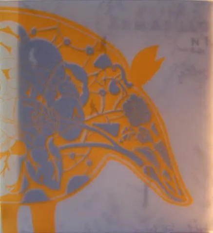 Fanzine Armadillo