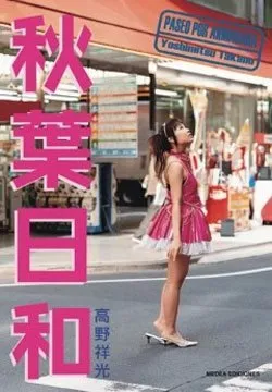 Paseo por Akihabara
