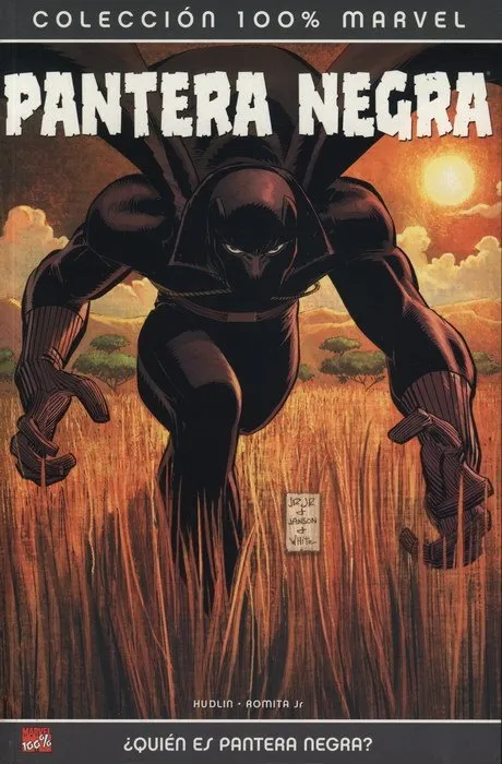 Pantera Negra: ¿Quién es Pantera Negra? 100% Marvel