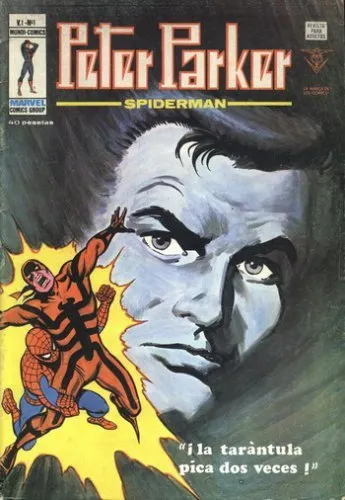 Peter Parker Spiderman