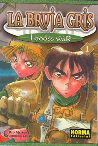 Record of Lodoss War. La Bruja Gris