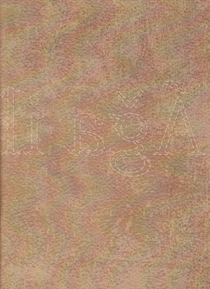 El salto (Autoedición)