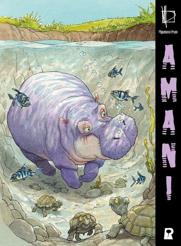Amani