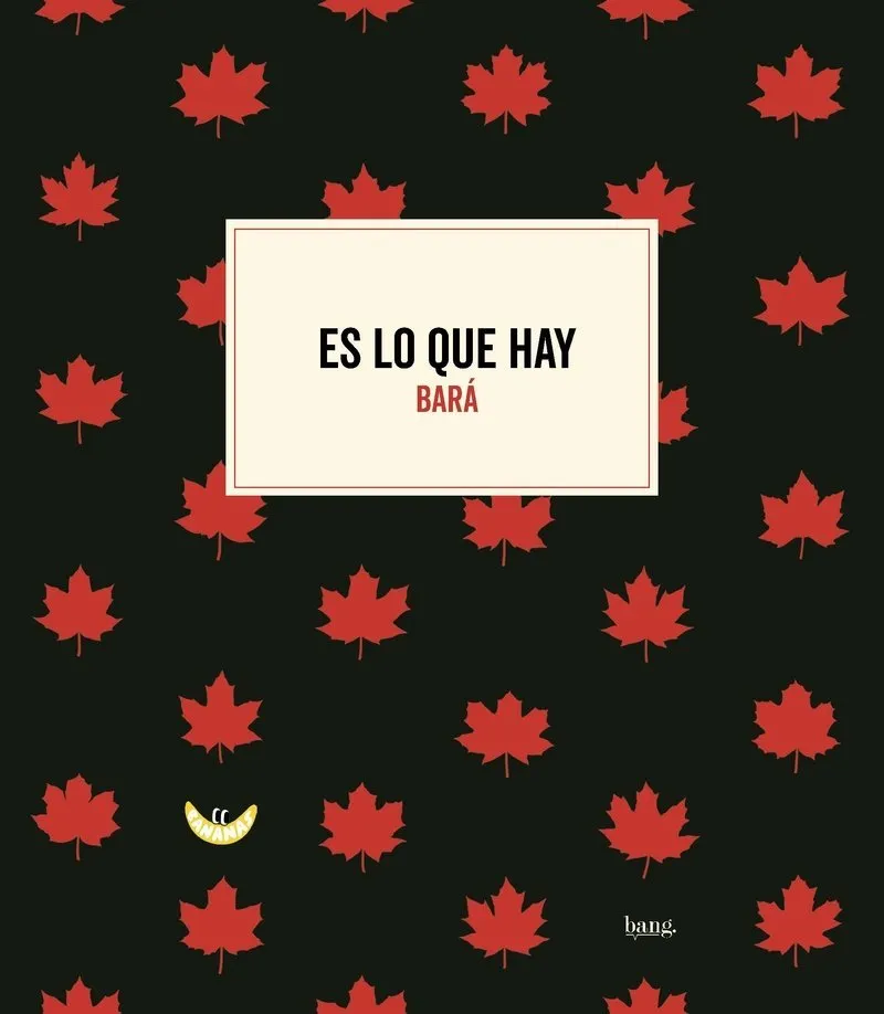 Es lo que hay