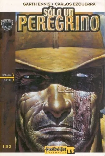 Sólo un peregrino