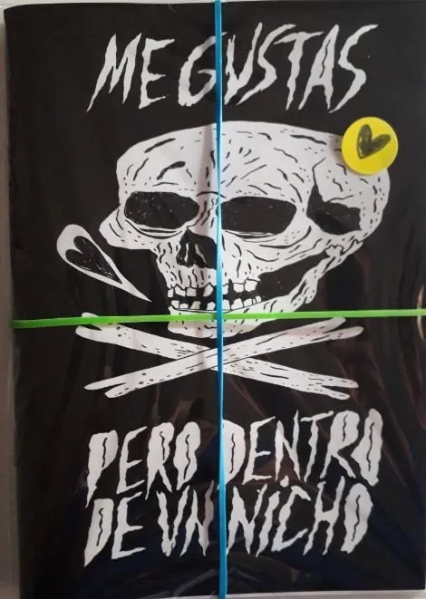 Me gustas pero dentro de un nicho (Autoedición)