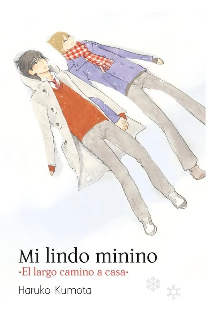 Mi lindo minino. El largo camino a casa