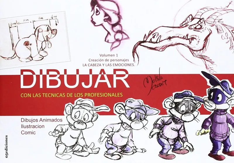 Dibujar con las técnicas de los profesionales