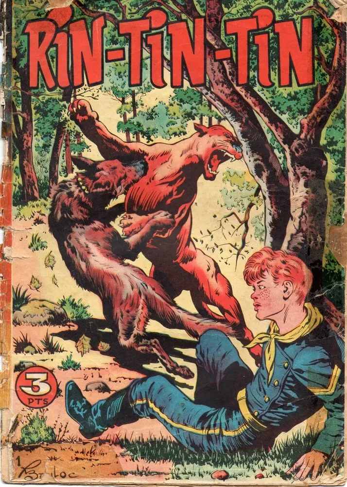 Rin-tin-tin / Davy y su fiel Roy