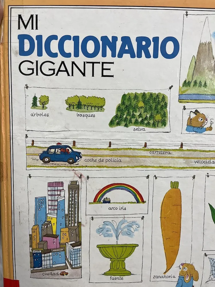 Mi diccionario gigante
