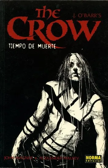 The Crow. Tiempo de muerte