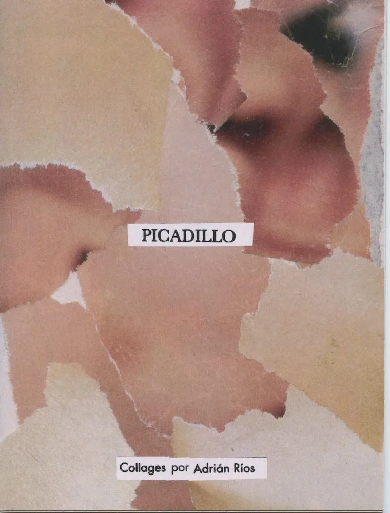 Picadillo (Autoedición)