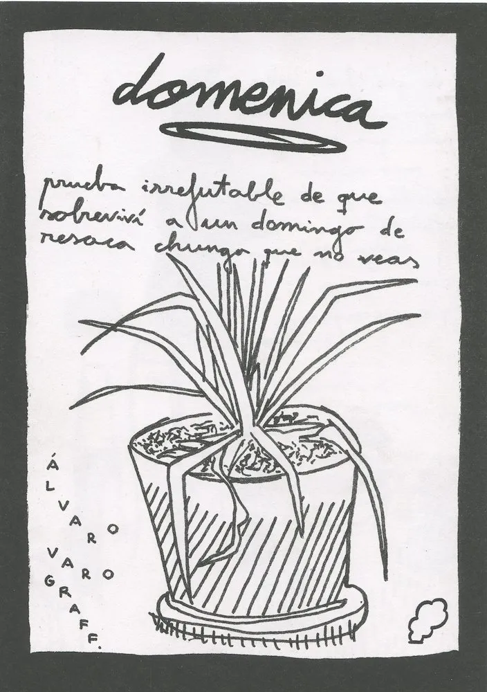 Domenica