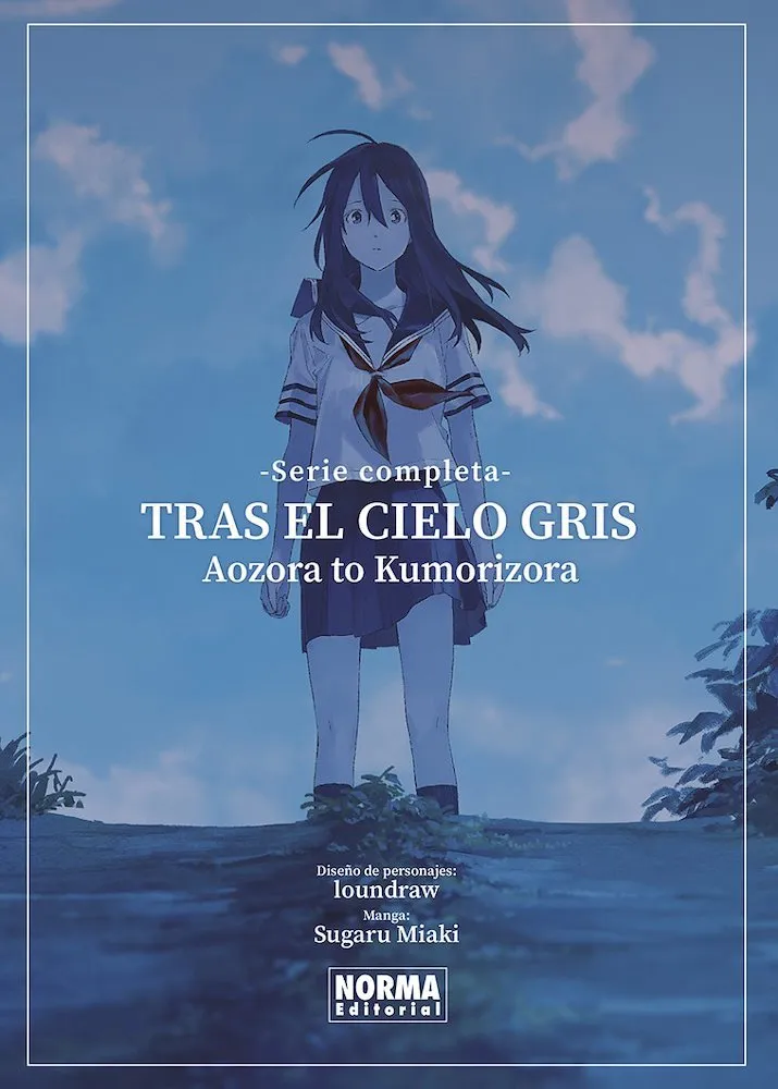 Tras el cielo gris