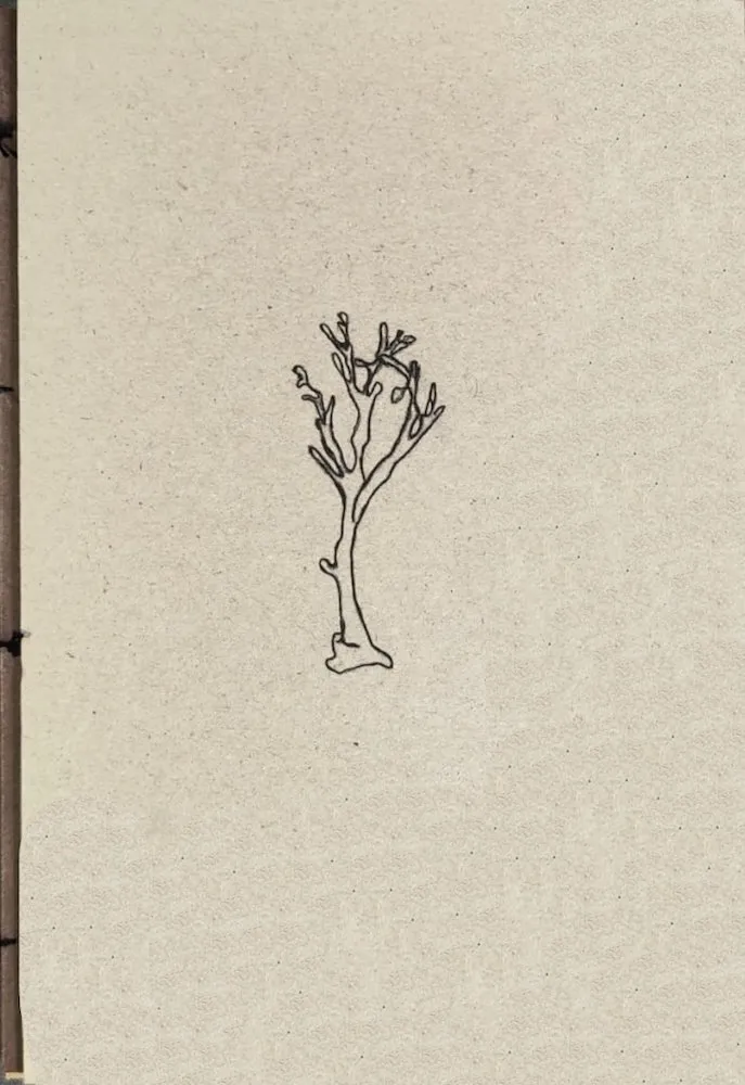 Plant Taxonomy (Autoedición)