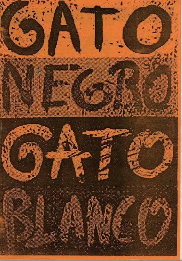 Gato negro gato blanco