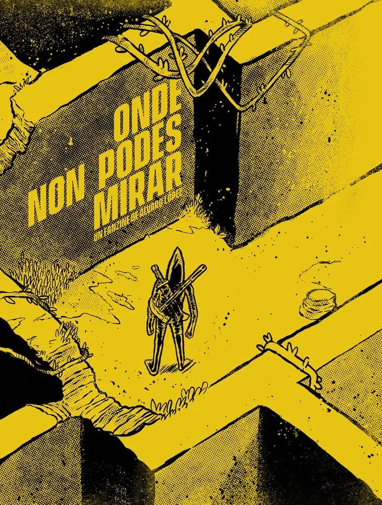 Onde non podes mirar
