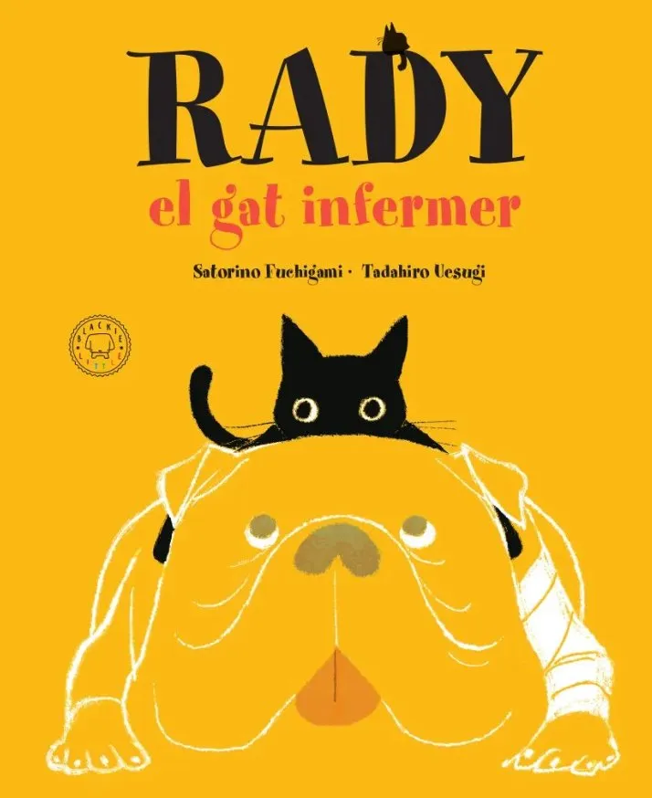 Rady, el gat infermer