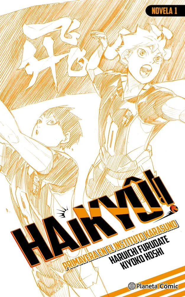 Haikyû!! Novelas