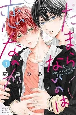 TAMARANAI NO WA KOI NA NO KA
